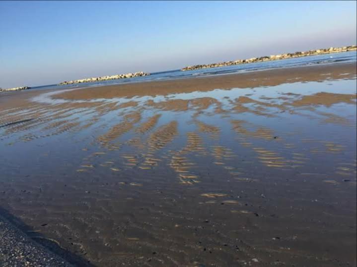 Hotel Gioiella Depandance Bellaria-Igea Marina Esterno foto
